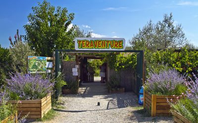 Fermeture mercredi 3 septembre